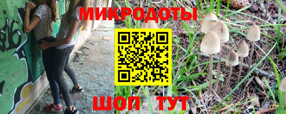 Галлюциногенные грибы GOLDEN TEACHER Каменск-Шахтинский