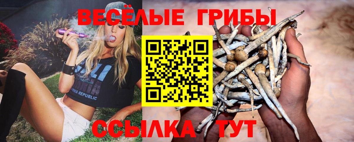 Каменск-Шахтинский  Псилоцибиновые грибы Magic Shrooms  Вход с VPN 